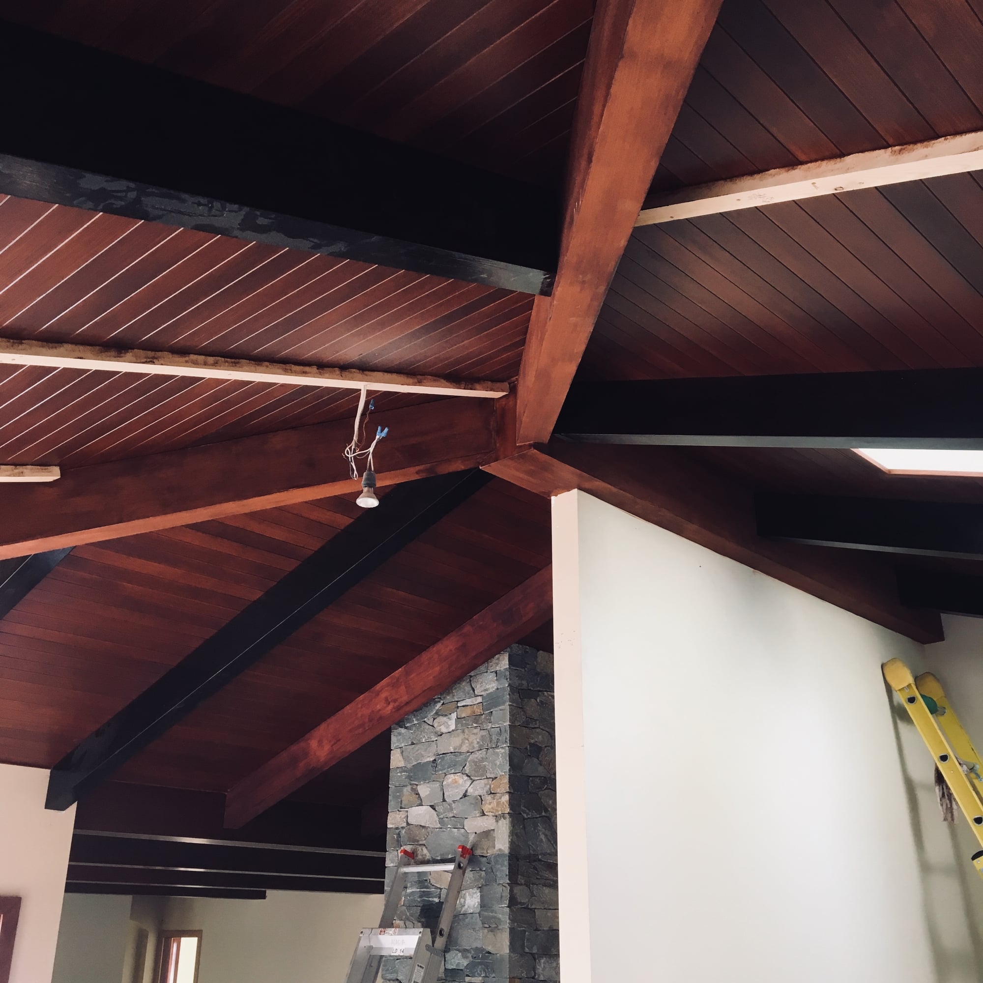 IMG_6588